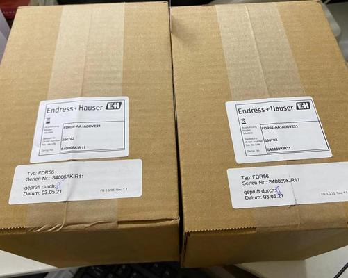 Endress Hauser FDR56-1WK3/0 mikrodalga bariyer alıcısı