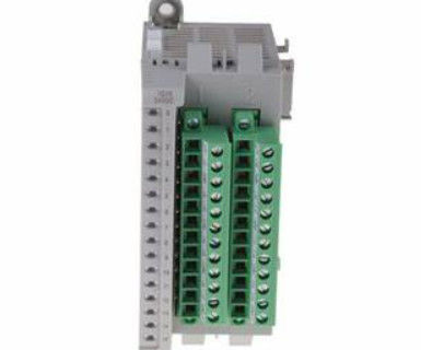 2085-IQ16 Allen Bradley Micro800 16 Noktalı Dijital Giriş Modülü