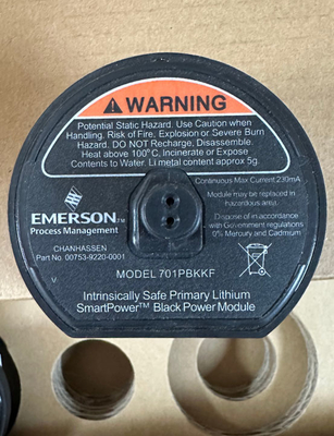 EMERSON 701PBKKF 701P Akıllı Güç Modülü