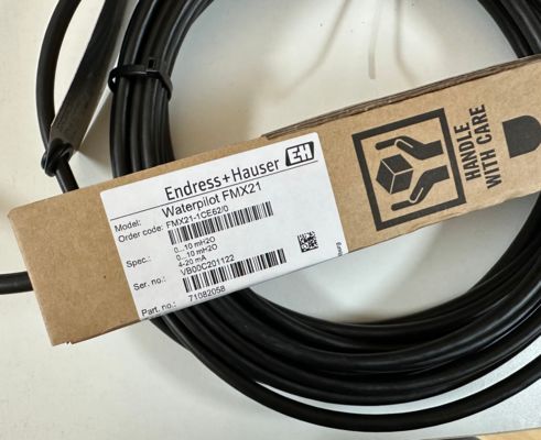 Endress+Hauser FMX21-1CE62/0 Waterpilot Hidrostatik Seviye Vericisi, Seramik Ölçüm Hücresi ile