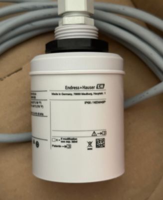 Endress Hauser FDU91-RG1AA ultrasonik seviye sensörü