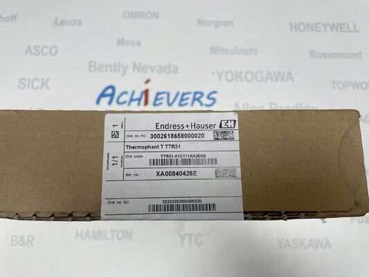 Endress+Hauser TTR31-A1C111AA2EAB Hassas Ölçüm için Endüstriyel Sınıf Sıcaklık Vericisi