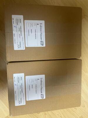 Endress Hauser FQR56-AAEAAXFA1 Endüstriyel ölçüm sistemleri için yüksek istikrarlı sinyal üreticisi