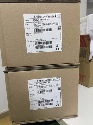 E+H FTL50-1DN80/0 Liquiphant M Vibronic Düzenleme Çatal Noktası Düzeyleri Değiştiricisi